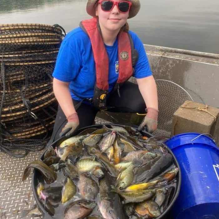 SK_Me catfish sampling