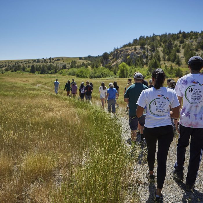 High school students in the American Fisheries Society's Hutton Scholars Summit, hosted by Montana State University, visit Dry Creek, outside Belgrade, Mont., Tuesday, July 19, 2022 with guidance from Trout Unlimited’s Connor Parrish, identifying aspects of creek rehabilitation to improve water quality and fish conservation.
MSU Photo by Adrian Sanchez-Gonzalez