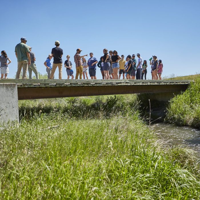 Hutton Scholars touring a stream restoration site